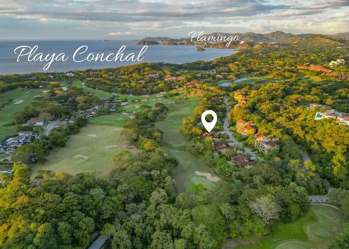 Carao In Beautiful Villa Playa Conchal